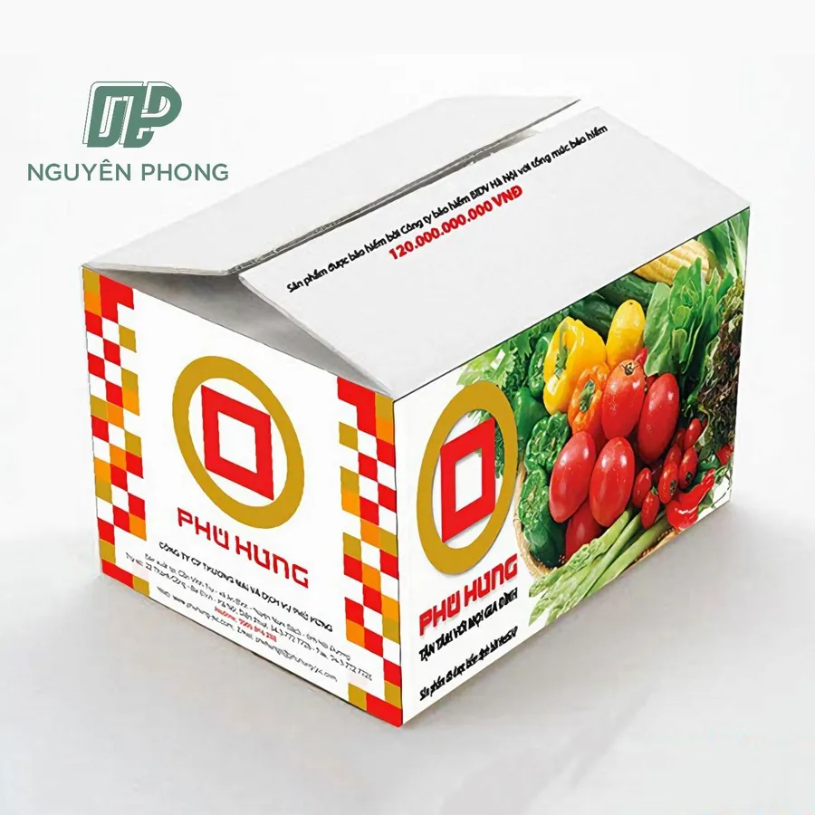 Mẫu thùng carton sóng bồi duplex in offset màu tham khảo 06