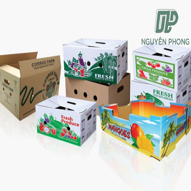 In Hộp Carton Đóng Hàng Theo Yêu Cầu – Giá Tốt Nhất
