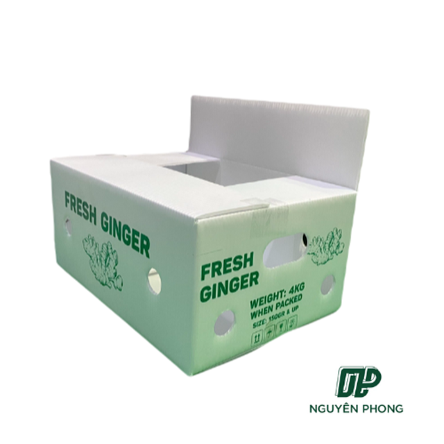 In Thùng Carton Đựng Gừng Chuyên Nghiệp, Giá Rẻ, Chất Lượng Đảm Bảo