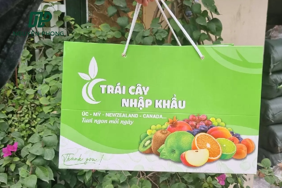 Mẫu Túi Giấy Đựng Hoa Quả Đẹp Và Chất Lượng Nhất Hiện Nay