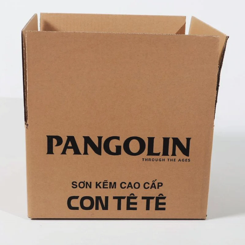 In Carton 5 Lớp Mẫu 3