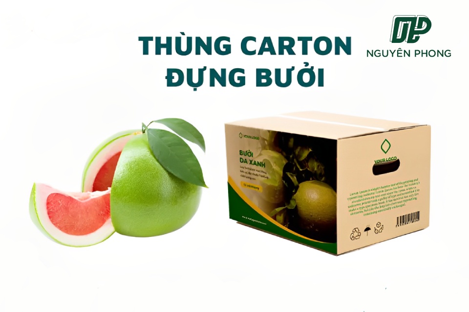 Thùng carton đựng bưởi được thiết kế tỉ mỉ, giúp ôm trọn trái bưởi và nâng đỡ chúng một cách hiệu quả