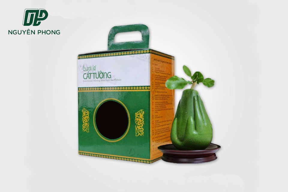 Mẫu Thùng Carton Đựng Bưởi Thiết Kế Theo Yêu Cầu