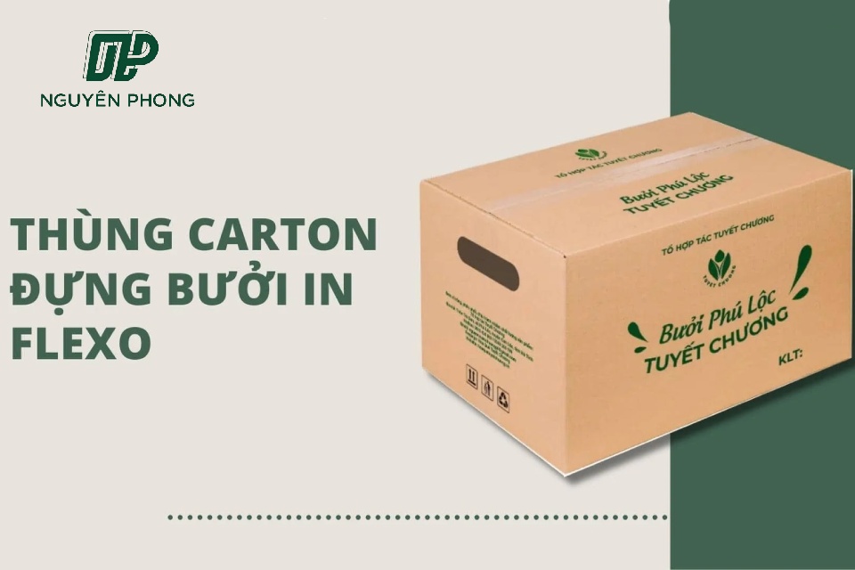 Thùng carton đựng bưởi in flexo