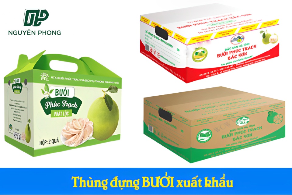 Thùng carton đựng bưởi được làm từ các loại giấy carton 3 lớp, 5 lớp và 7 lớp