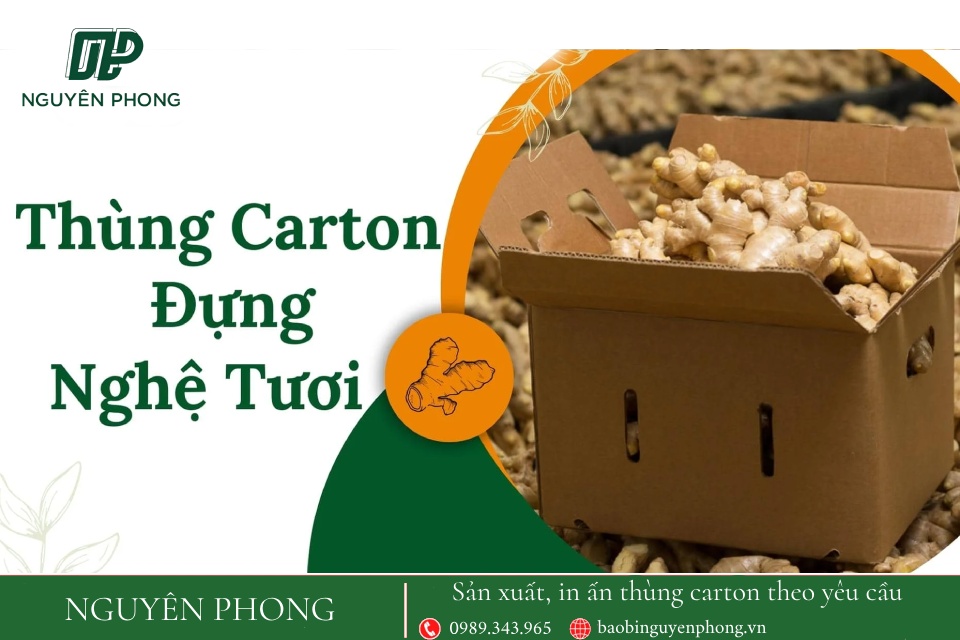 Thùng carton đựng nghệ hiện đang trở thành lựa chọn ưu tiên của nhiều doanh nghiệp cho việc xuất khẩu nghệ tươi