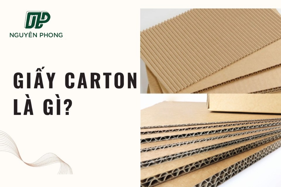  Giấy carton là gì?