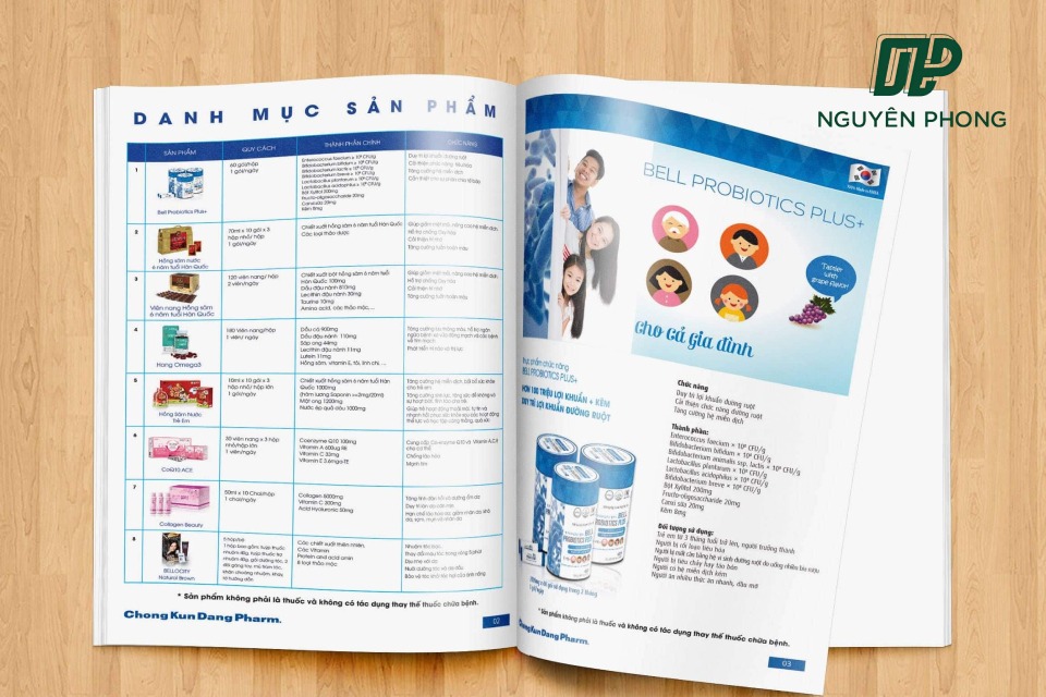 Mẫu catalogue giới thiệu công ty đẹp, chuyên nghiệp 2