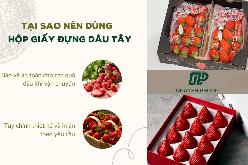 Hộp đựng dâu tây giúp bảo vệ trái bên trong tươi ngon hơn