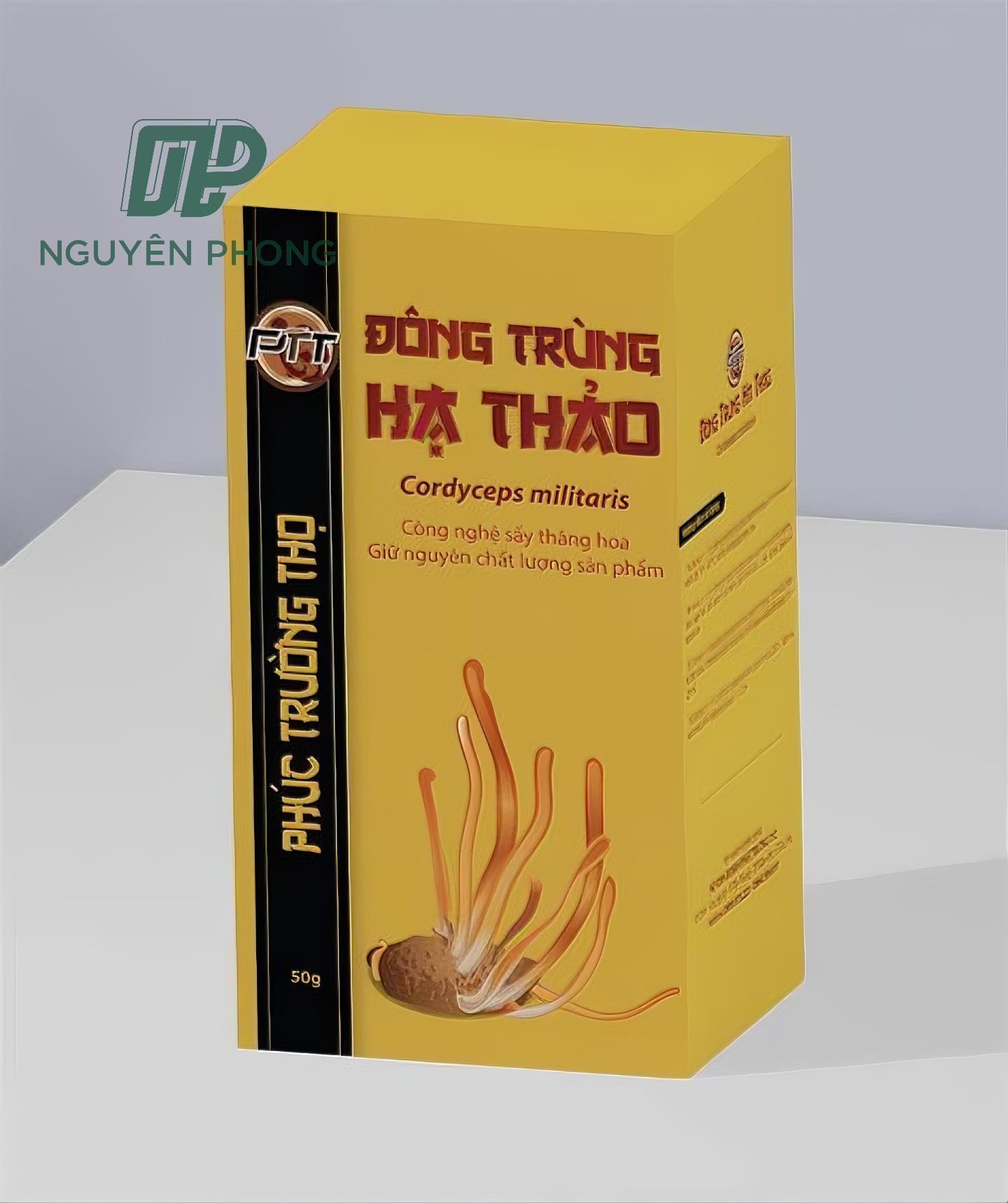 in hộp đựng đông trùng hạ thảo