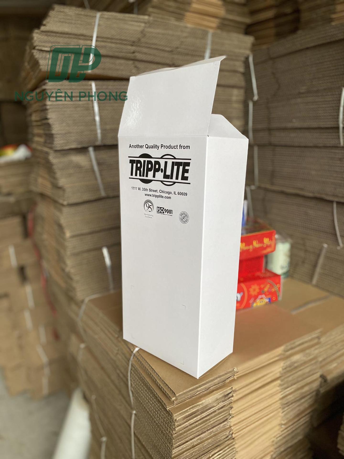 in hộp carton số lượng ít