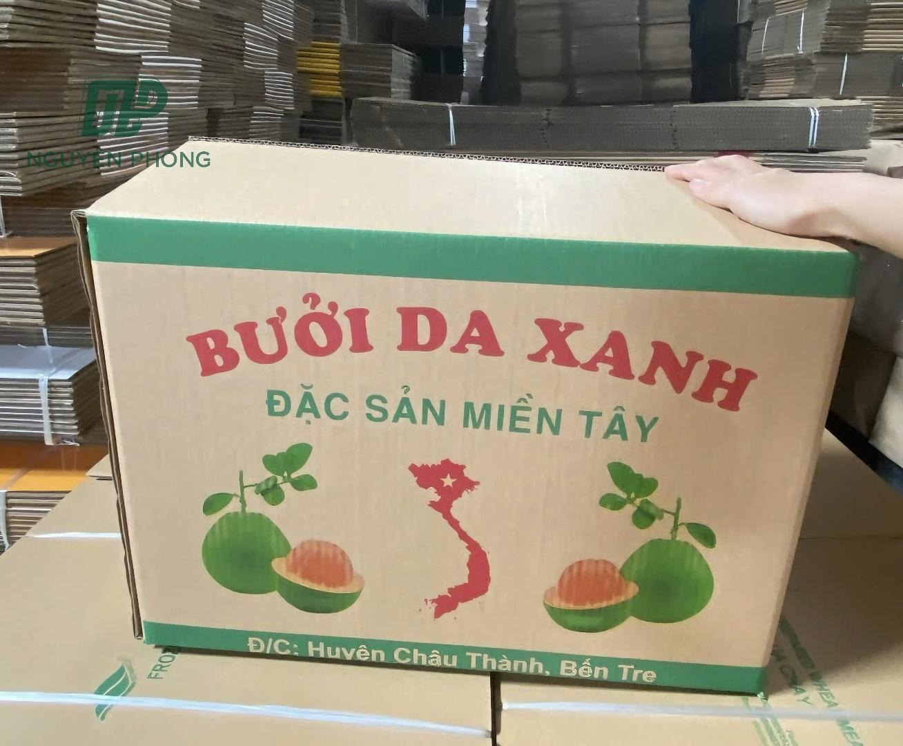 in hộp carton