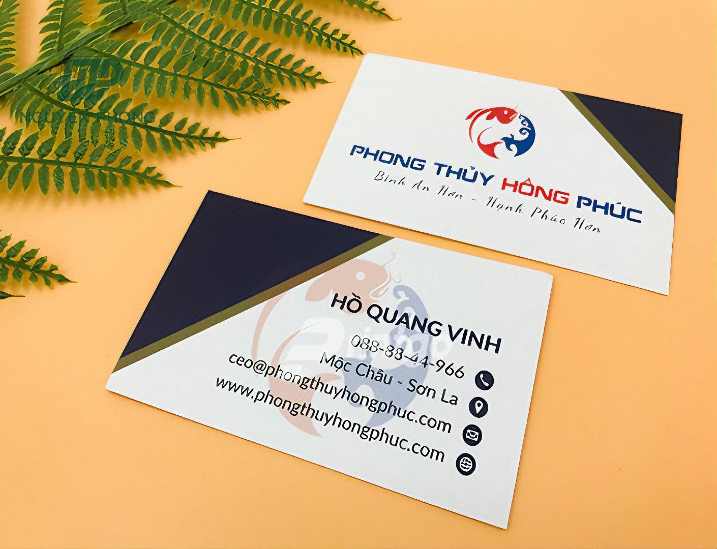 kích thước card visit