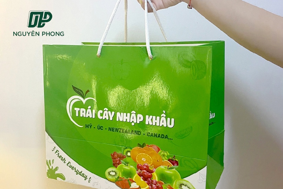 Mẫu Túi Giấy Đựng Hoa Quả Đẹp Và Chất Lượng Nhất Hiện Nay