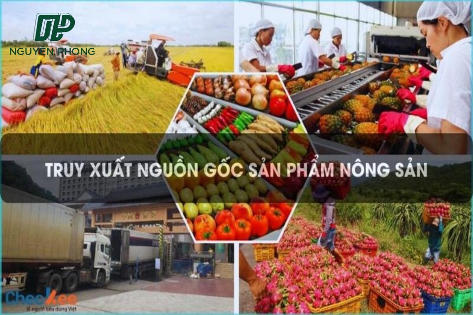 Tại sao ngày càng nhiều người chú ý đến việc truy xuất nguồn gốc các sản phẩm nông nghiệp?