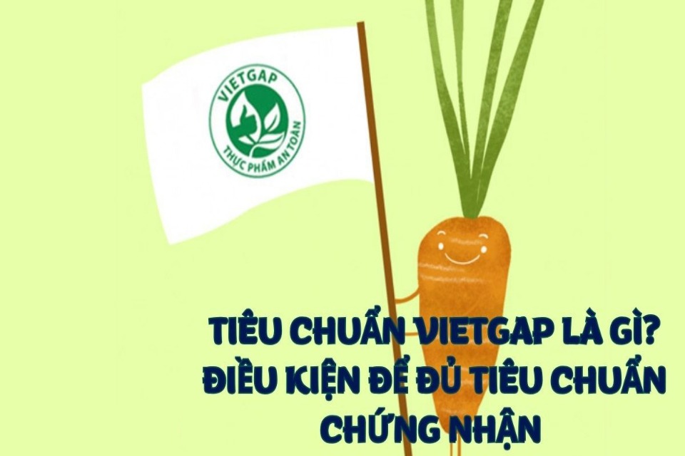 Tiêu chuẩn VietGAP là gì?