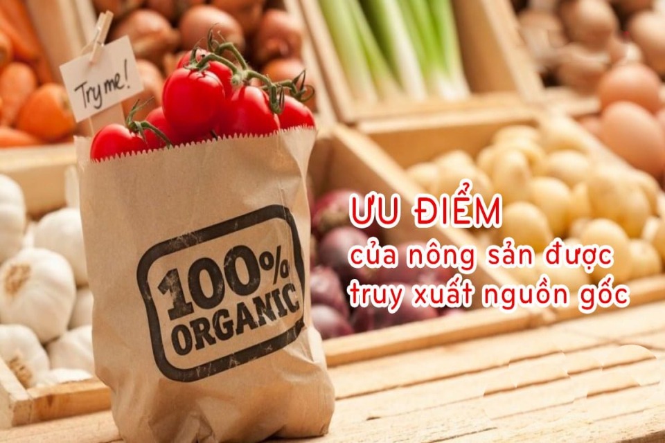 Ưu điểm của nông sản được truy xuất nguồn gốc