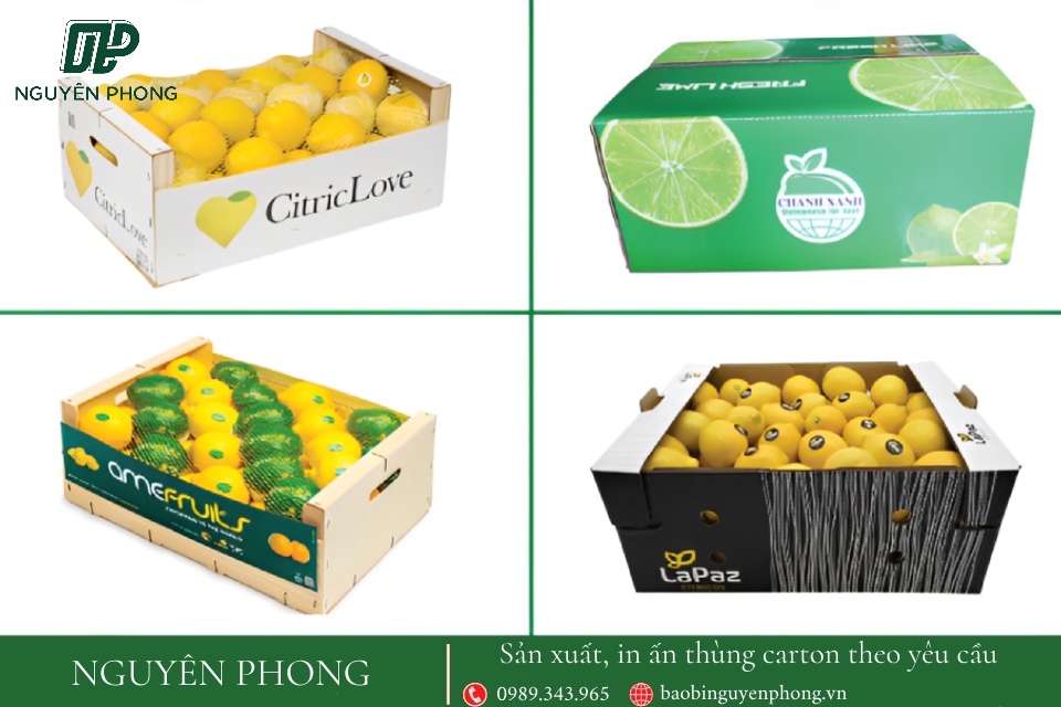 Kích thước của thùng carton phụ thuộc vào trọng lượng chanh được đóng gói bên trong