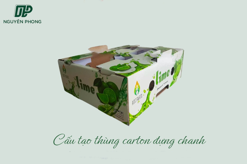 Cấu tạo thùng carton đựng chanh có thể được tùy chỉnh theo nhu cầu và sở thích của công ty bán hàng và đơn vị nhập khẩu