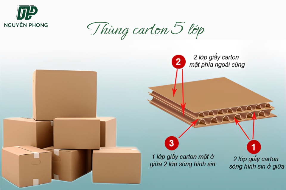 Thùng carton dùng để đựng chanh xuất khẩu thường được sản xuất từ các loại giấy carton có cấu trúc 3 lớp, 5 lớp hoặc 7 lớp