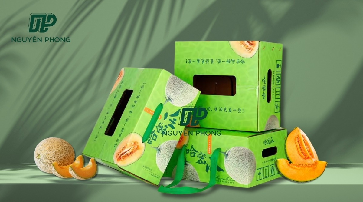 Thiết kế thùng carton đựng dưa lưới đẹp mắt