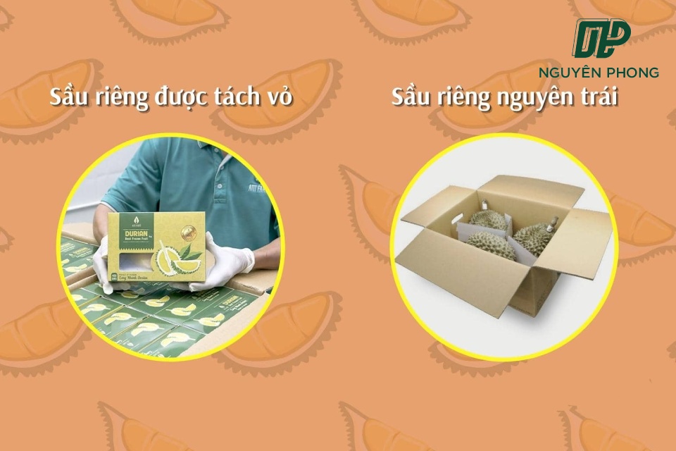 Kích thước thùng carton đựng sầu riêng khác nhau tùy thuộc vào khối lượng chứa khác nhau