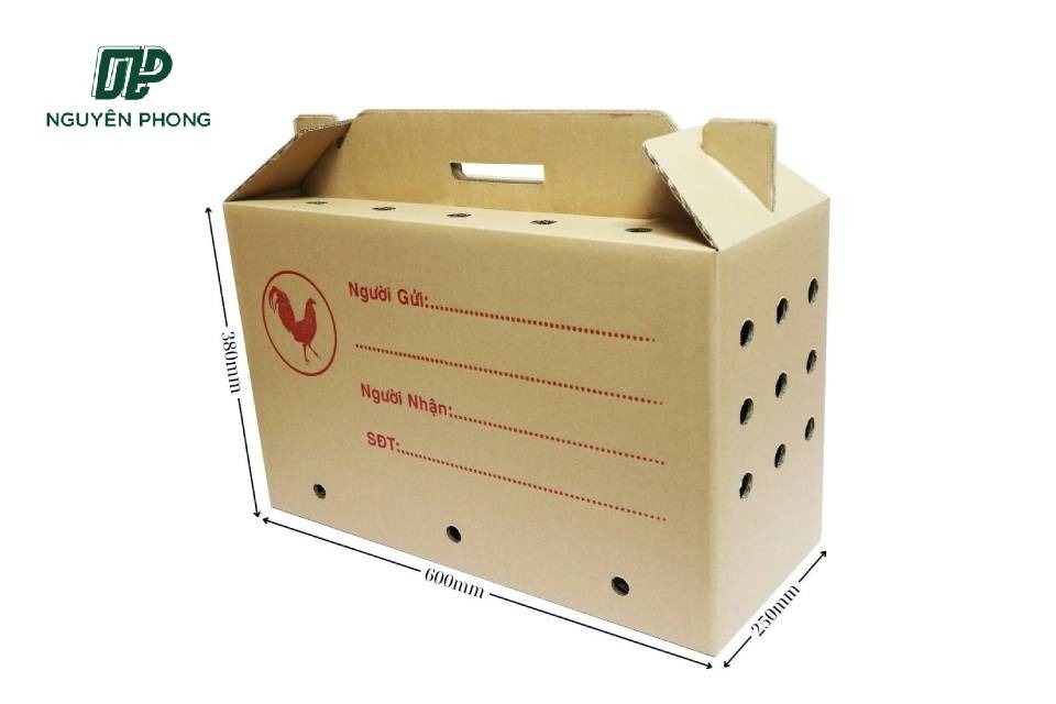 Các lỗ thông khí trên thùng carton đựng trái cây giúp trái cây tươi hơn