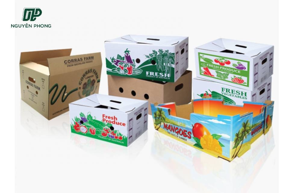 Thùng carton đựng trái cây với nhiều kích thước và hình dáng khác nhau