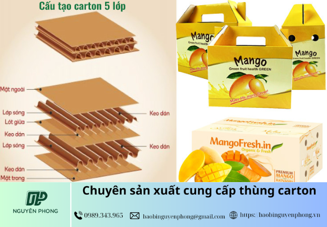 Thùng carton đựng xoài có 5 lớp dày dặn