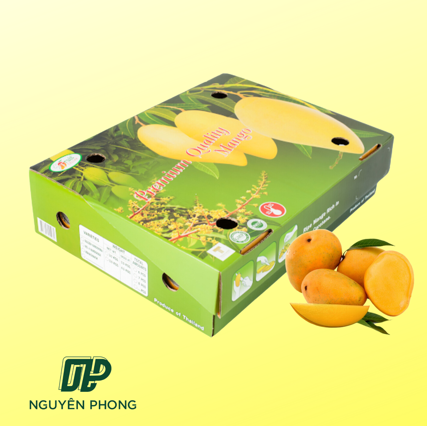 Thùng carton với kiểu dáng đẹp mắt